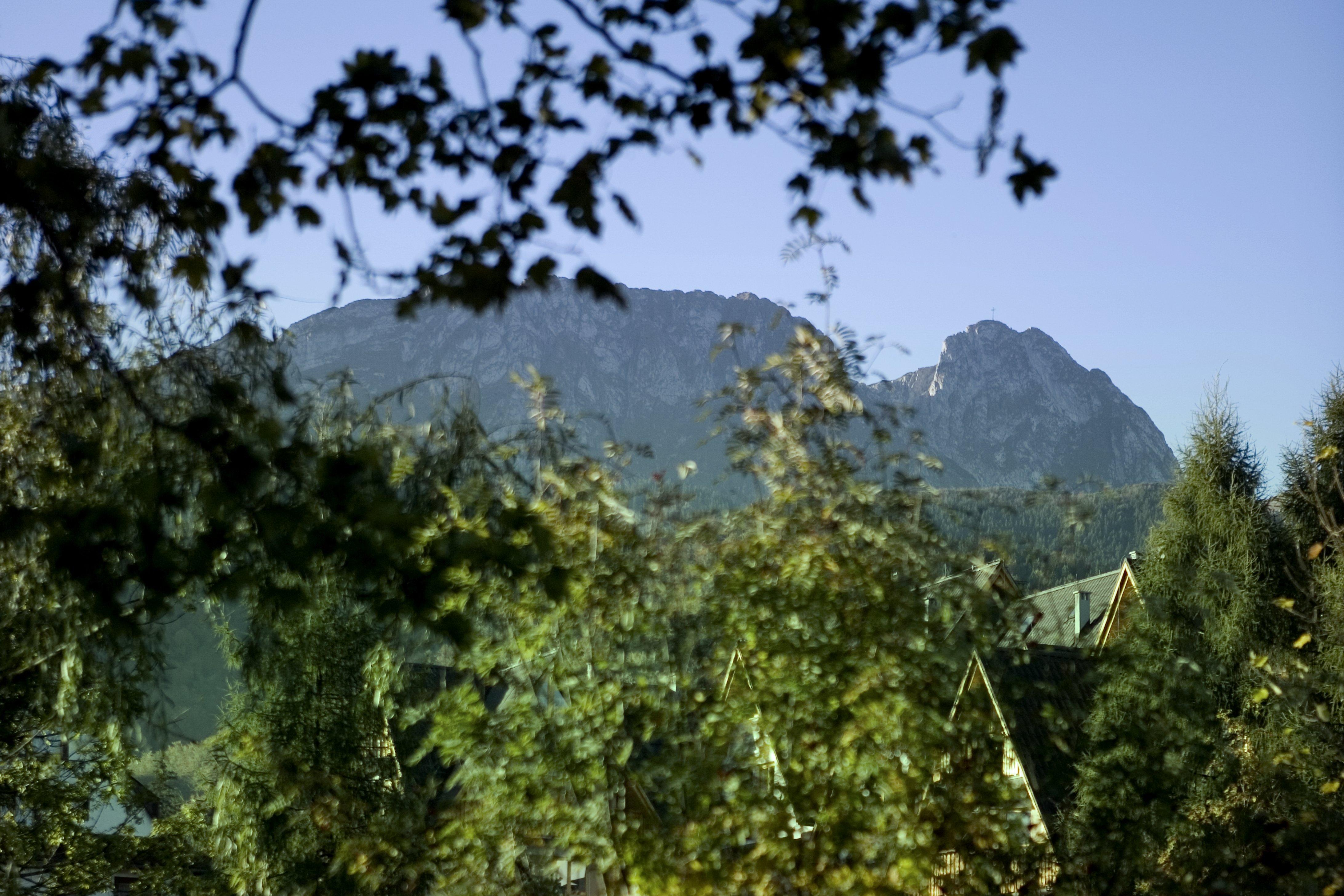 Szarotka Otel Zakopane Dış mekan fotoğraf