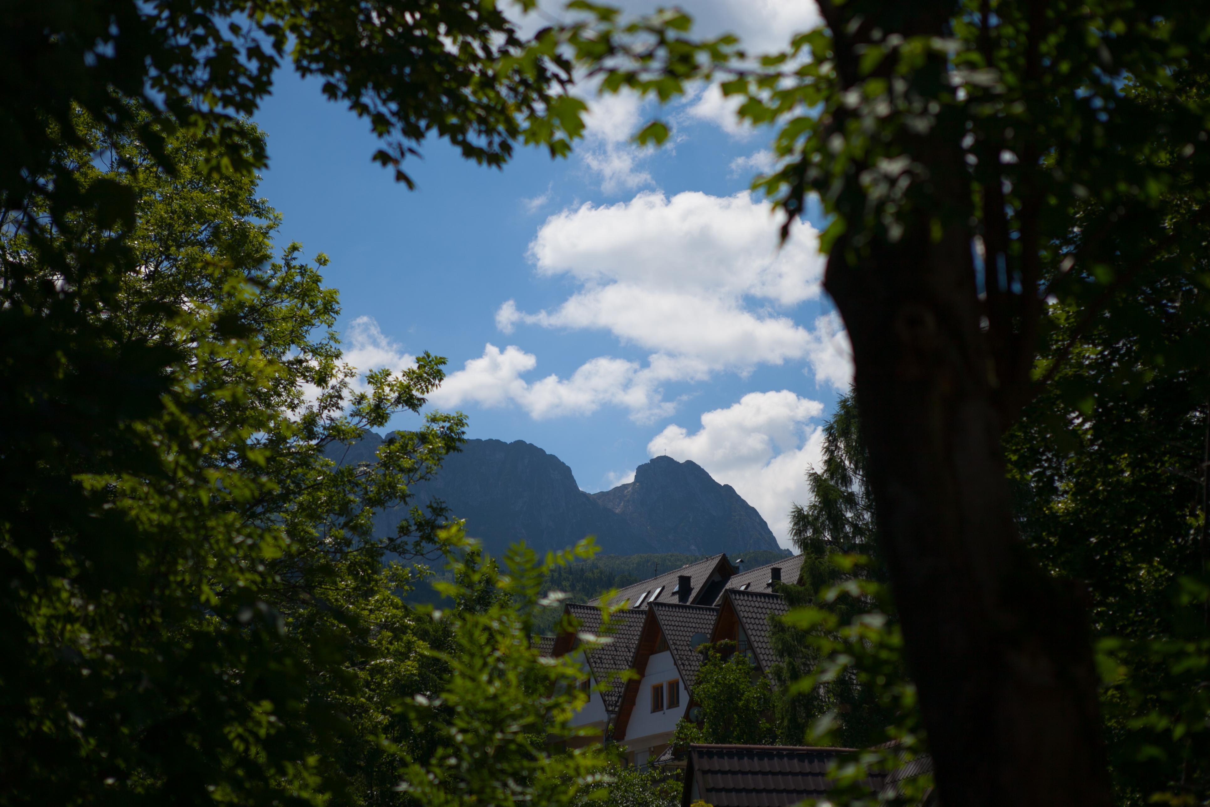 Szarotka Otel Zakopane Dış mekan fotoğraf