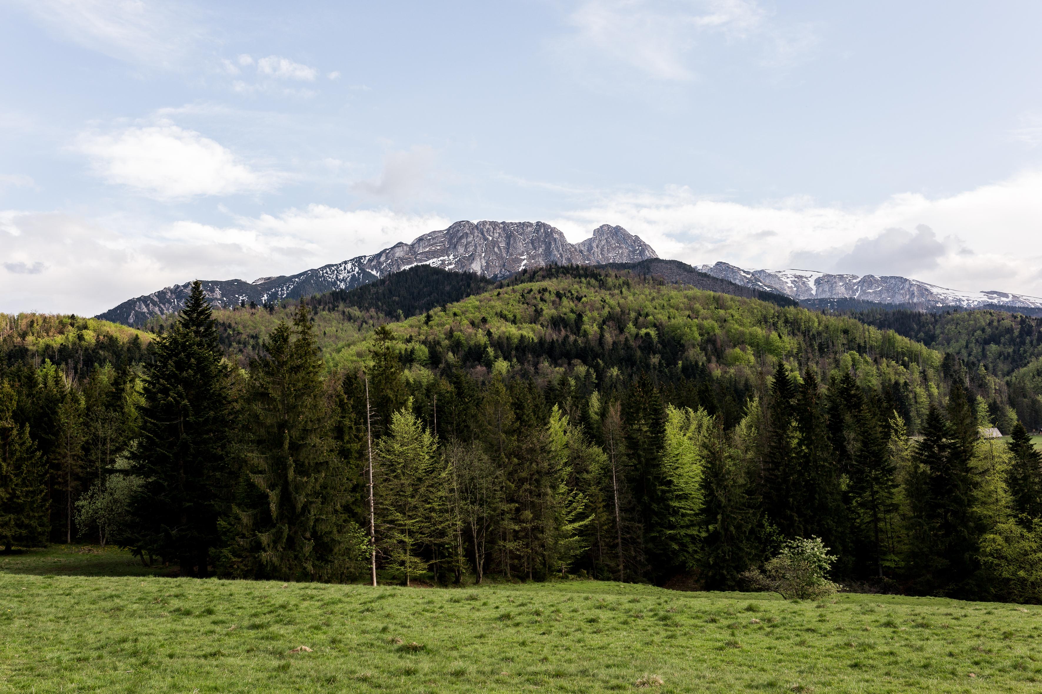 Szarotka Otel Zakopane Dış mekan fotoğraf